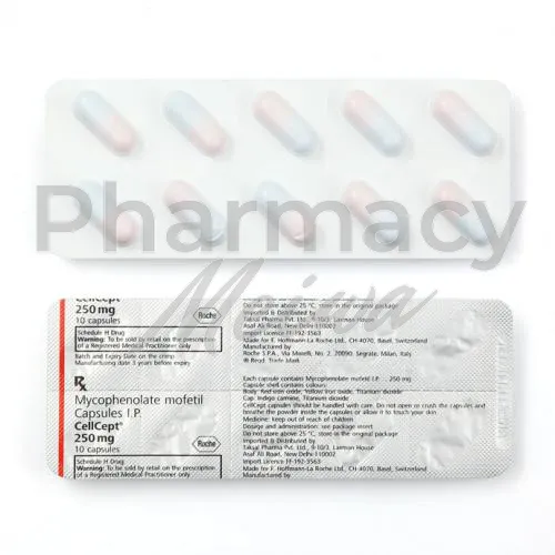 セルセプト-without-prescription